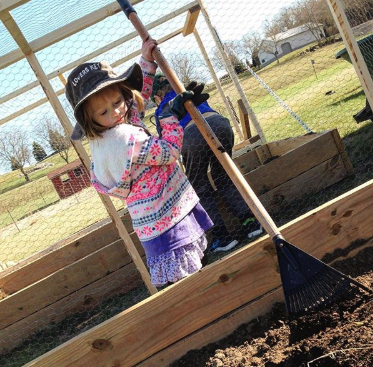 raised-beds